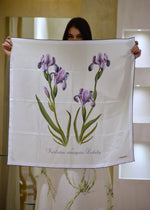 Foulard in Seta Alberta Ferretti