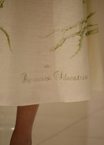 Gonna in Lino con Stampa Alberta Ferretti